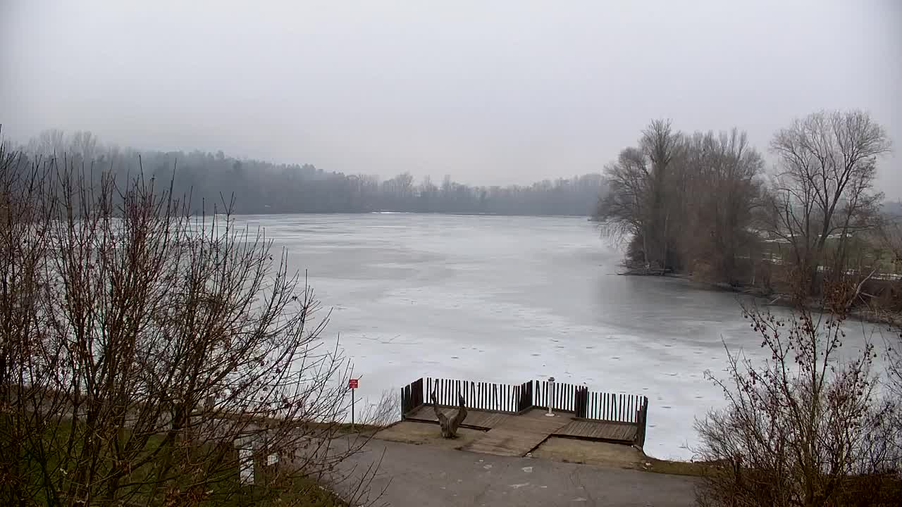 Webcam Ribnik Vrbje – Žalec