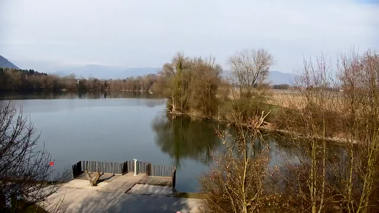 Webcam Ribnik Vrbje – Žalec