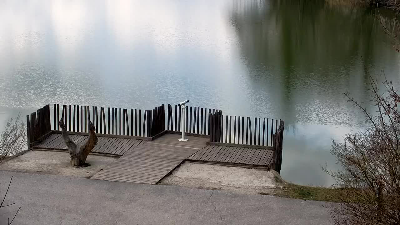 Webcam Ribnik Vrbje – Žalec