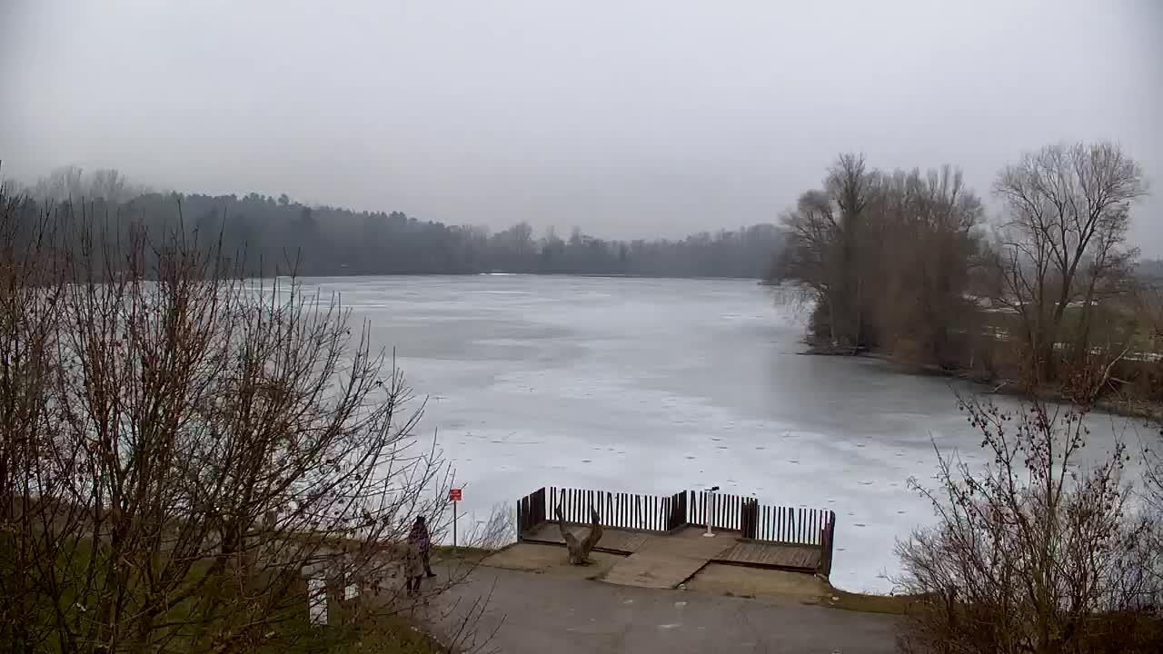 Webcam Ribnik Vrbje – Žalec