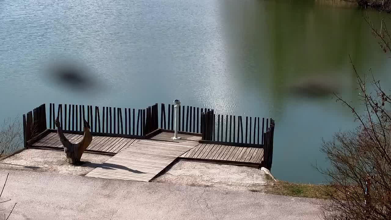 Webcam Ribnik Vrbje – Žalec