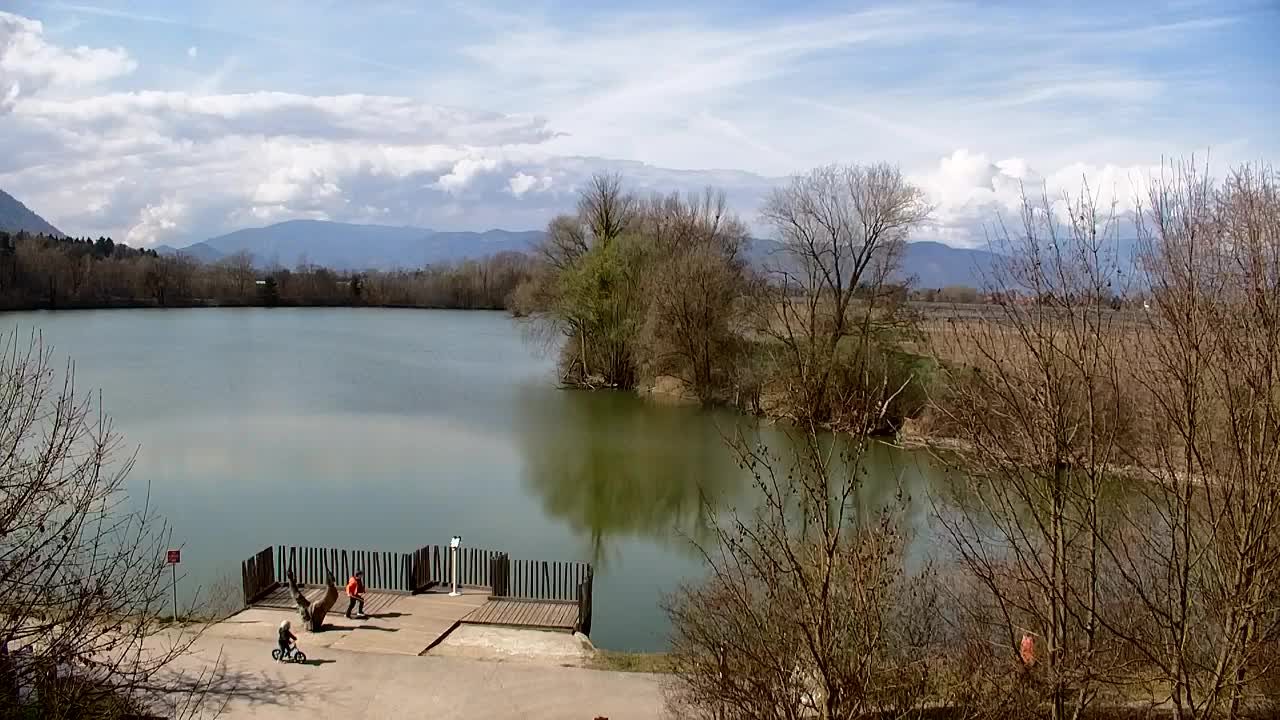 Webcam Ribnik Vrbje – Žalec