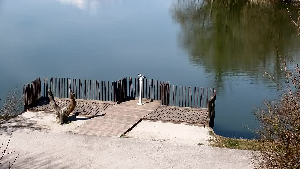 Spletna kamera Ribnik Vrbje – Žalec