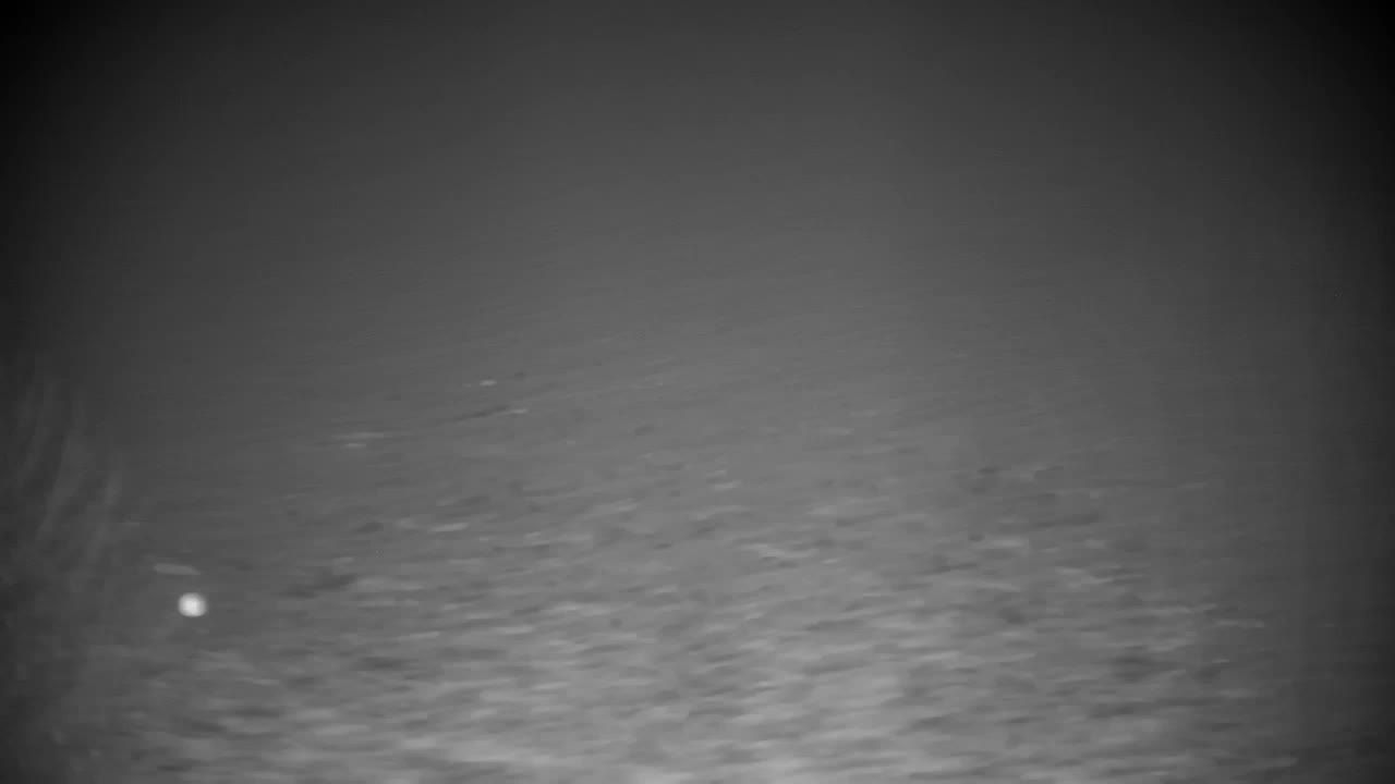 Spletna kamera Ribnik Vrbje – Žalec