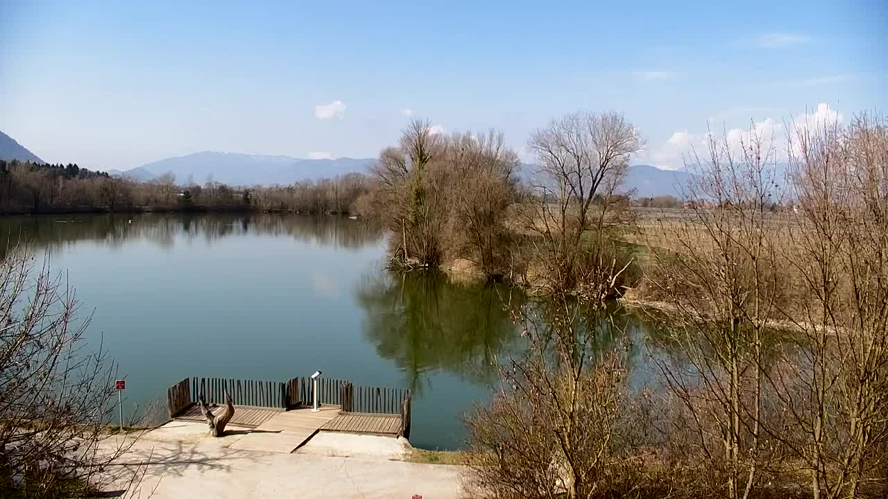 Webcam Ribnik Vrbje – Žalec