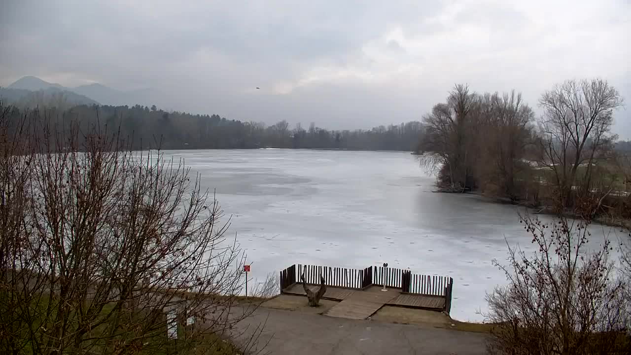 Webcam Ribnik Vrbje – Žalec