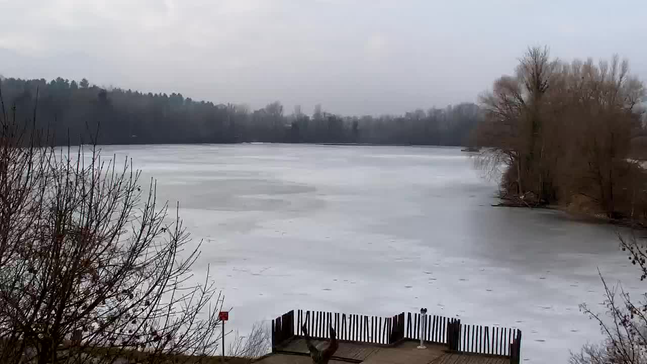 Webcam Ribnik Vrbje – Žalec