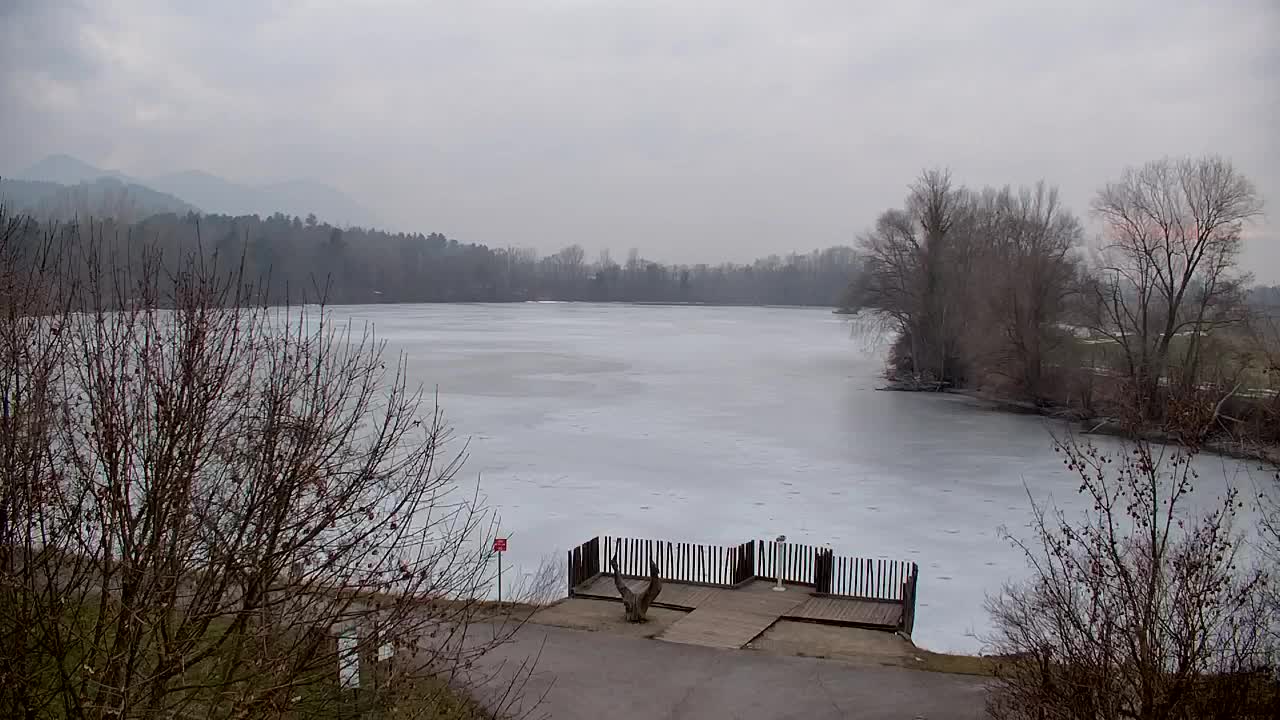 Webcam Ribnik Vrbje – Žalec