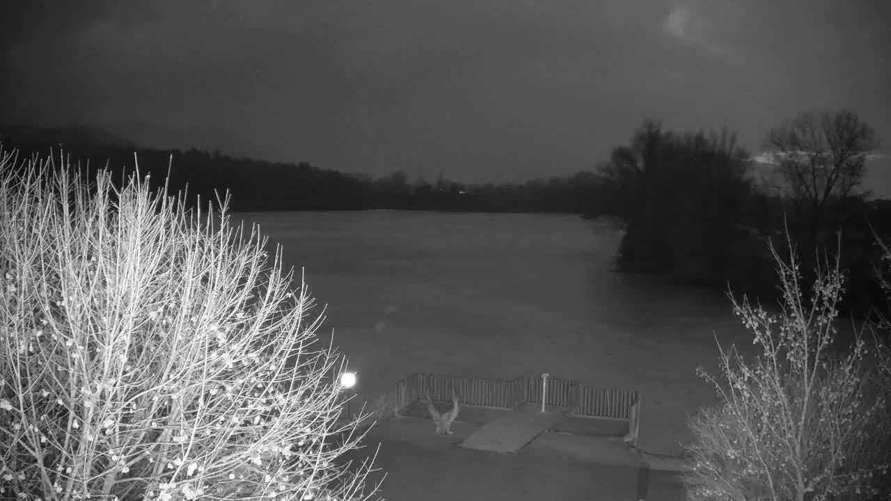 Webcam Ribnik Vrbje – Žalec