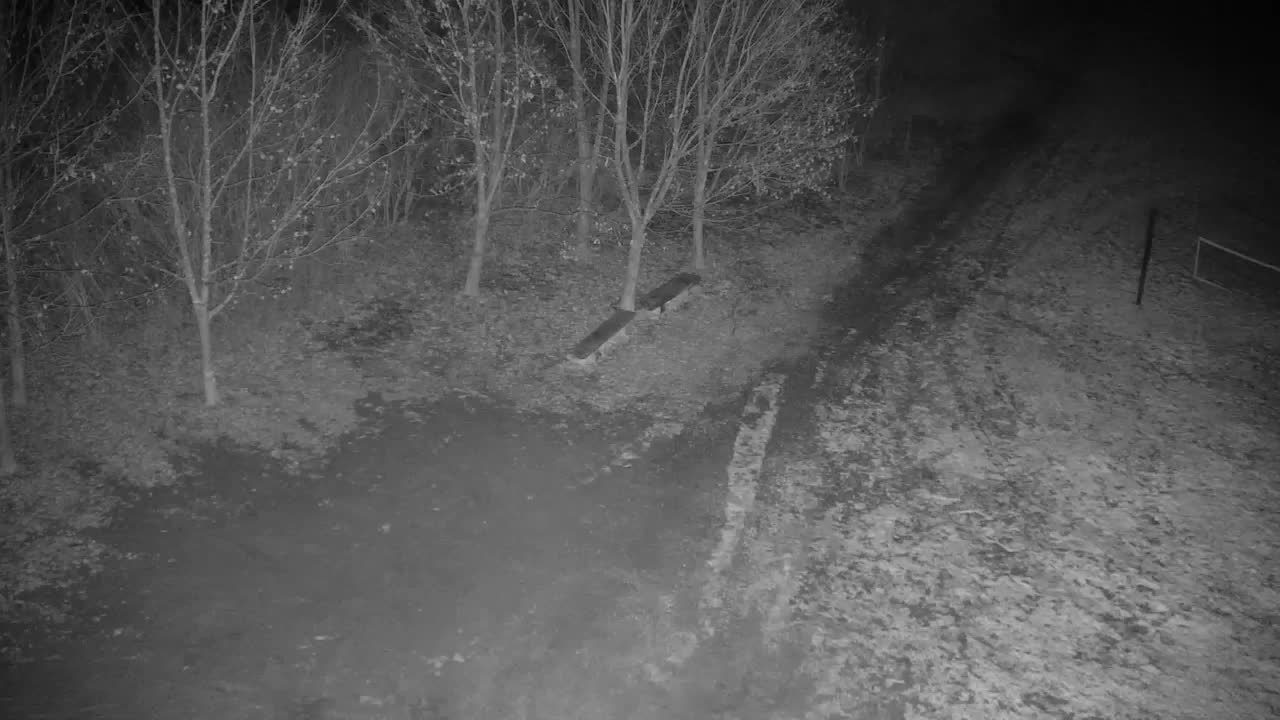 Webcam Ribnik Vrbje – Žalec