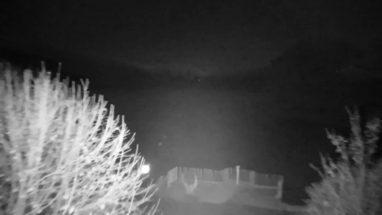 Webcam Ribnik Vrbje – Žalec