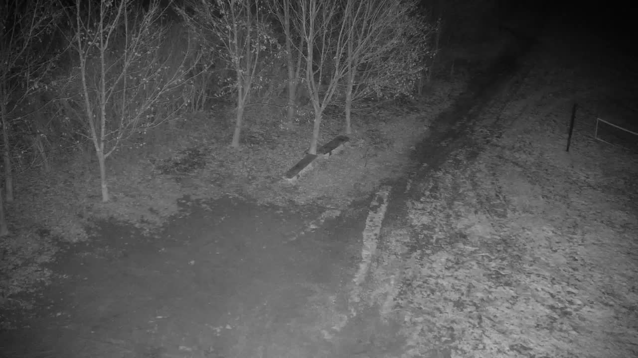 Webcam Ribnik Vrbje – Žalec