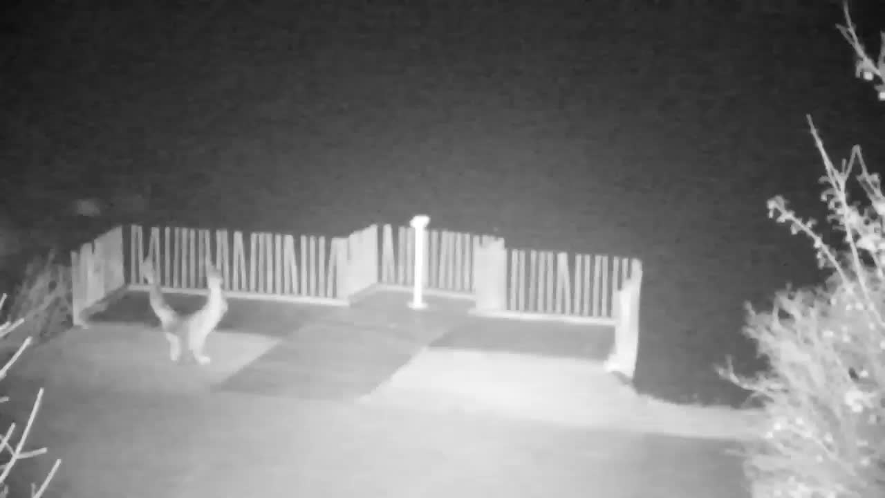 Webcam Ribnik Vrbje – Žalec