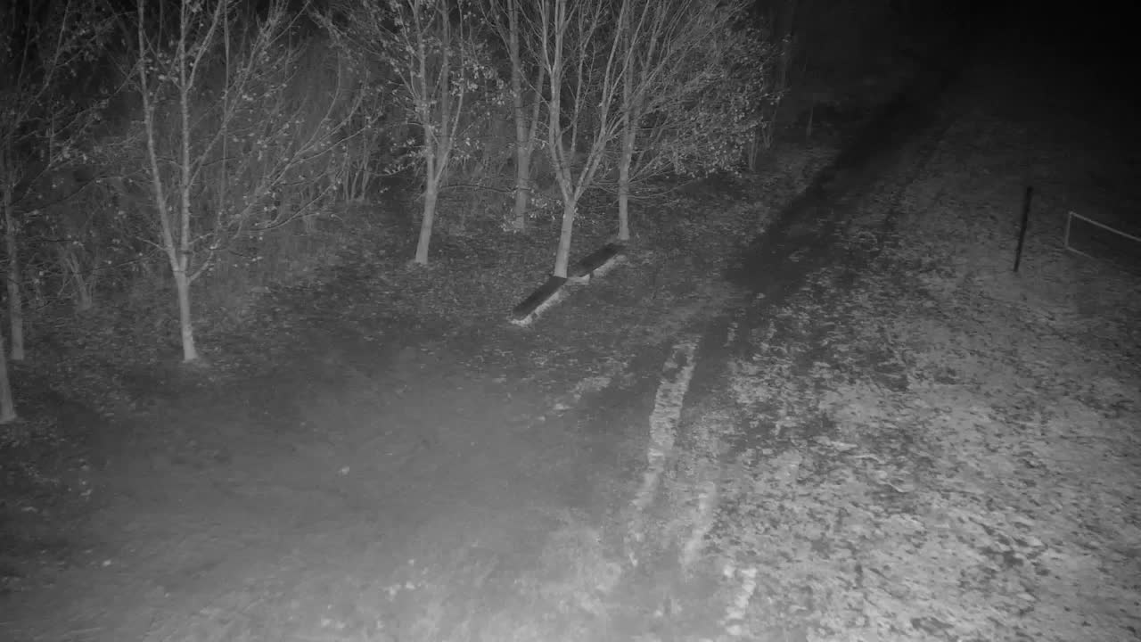 Web kamera Ribnik Vrbje – Žalec