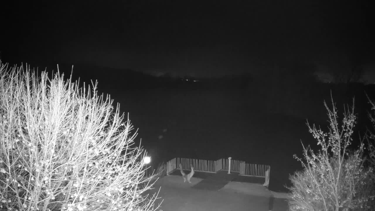 Webcam Ribnik Vrbje – Žalec