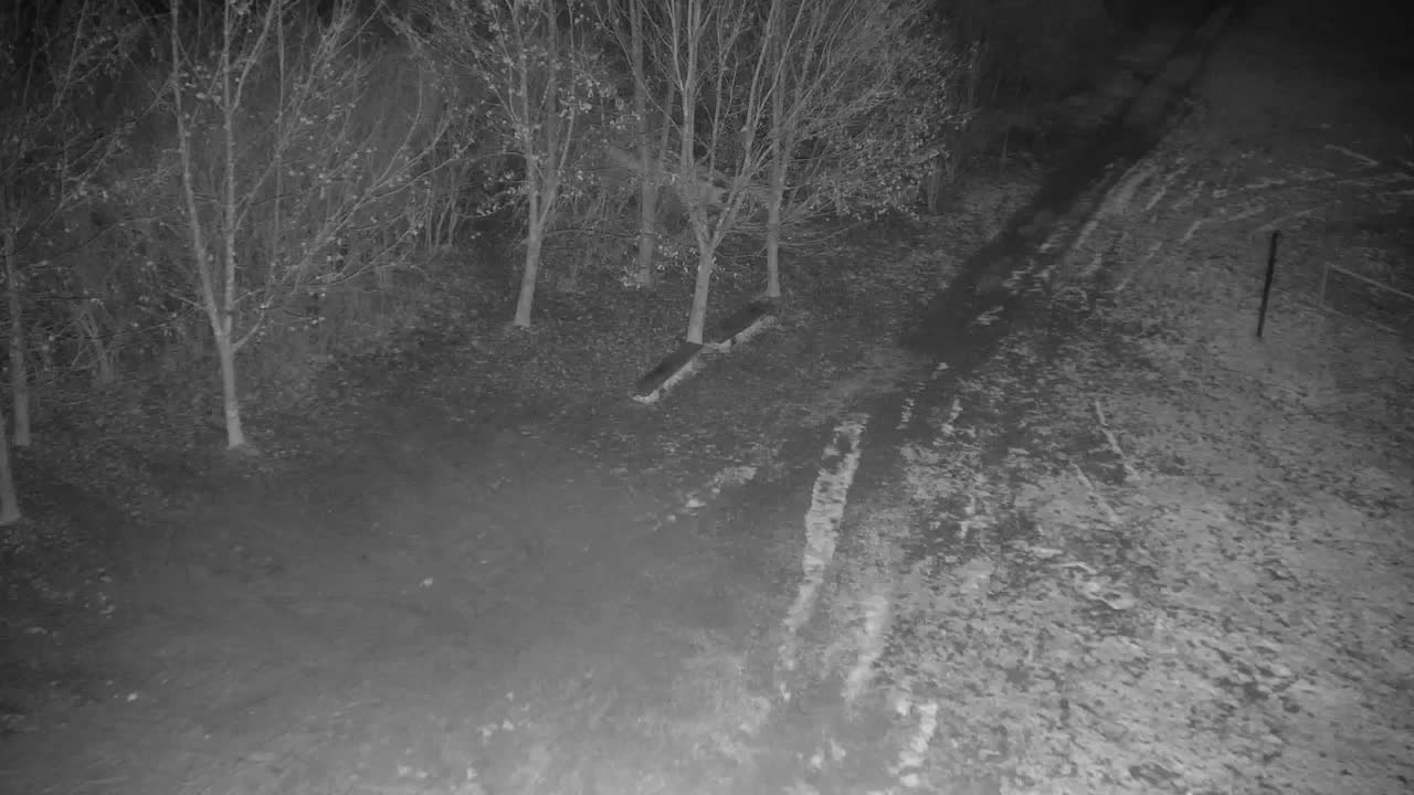 Webcam Ribnik Vrbje – Žalec