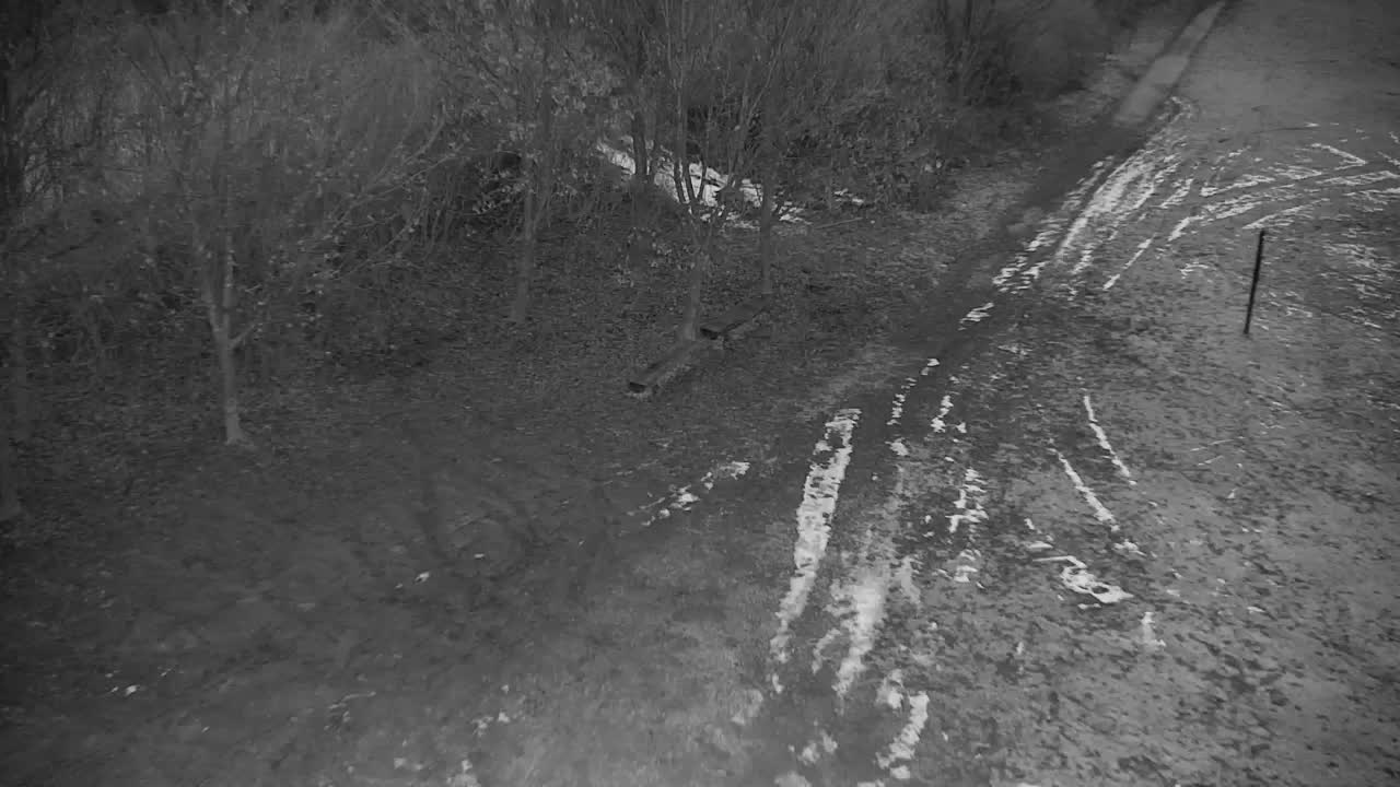 Webcam Ribnik Vrbje – Žalec