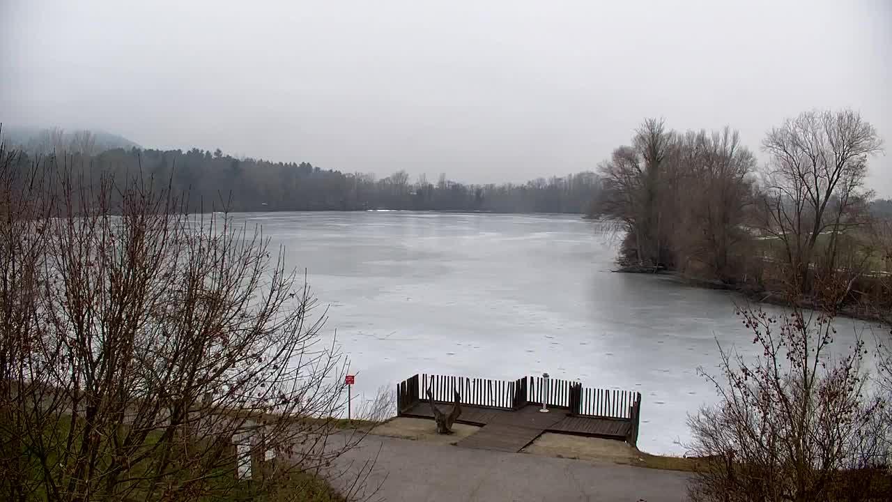 Webcam Ribnik Vrbje – Žalec