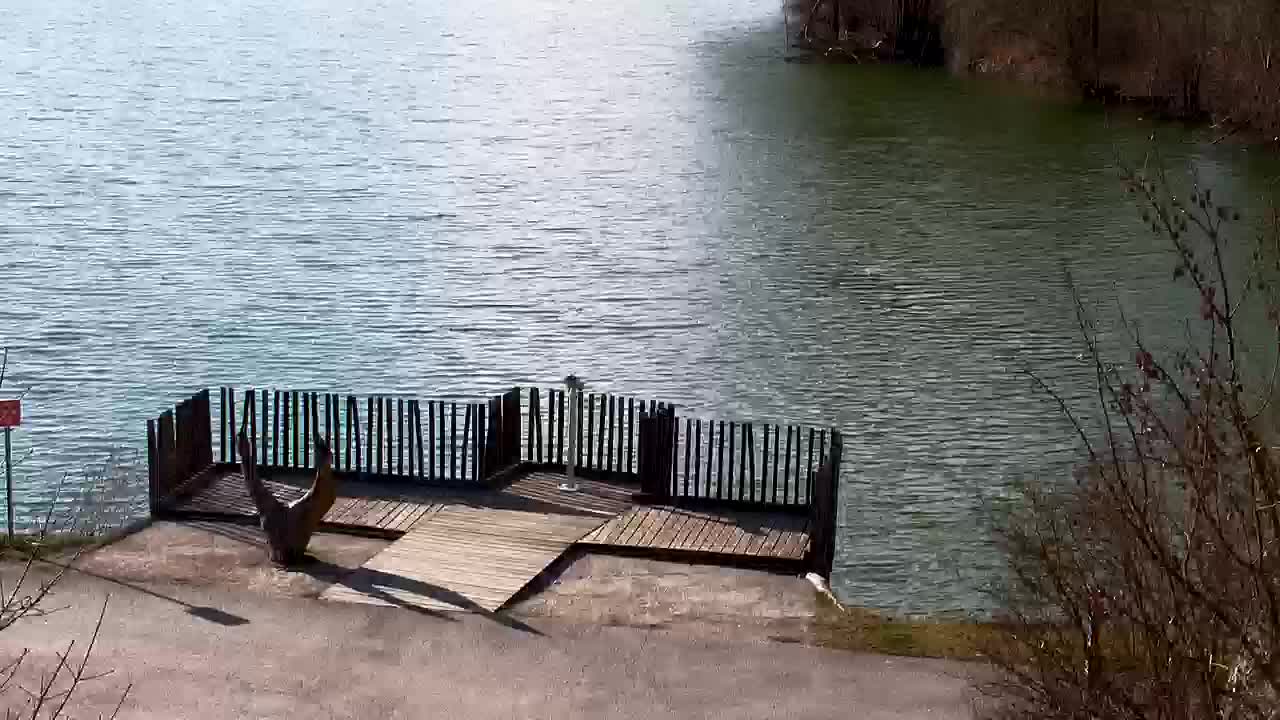 Webcam Ribnik Vrbje – Žalec