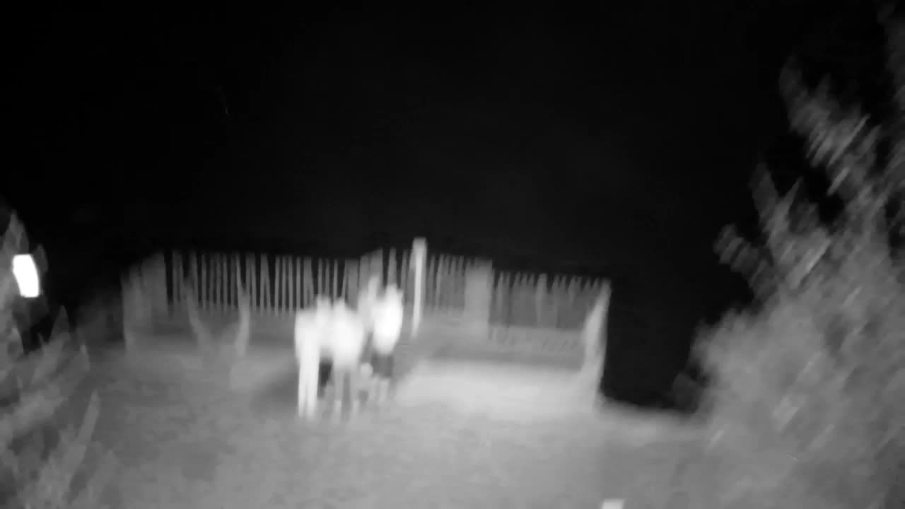 Webcam Ribnik Vrbje – Žalec