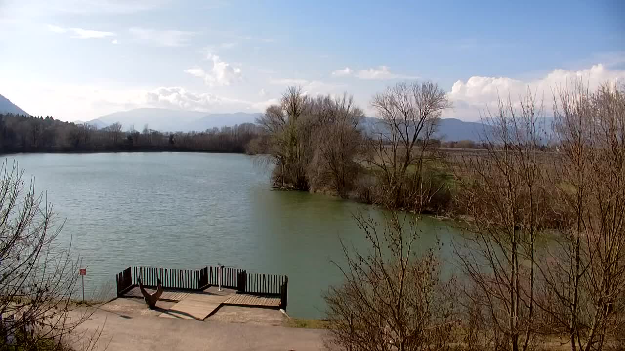 Spletna kamera Ribnik Vrbje – Žalec