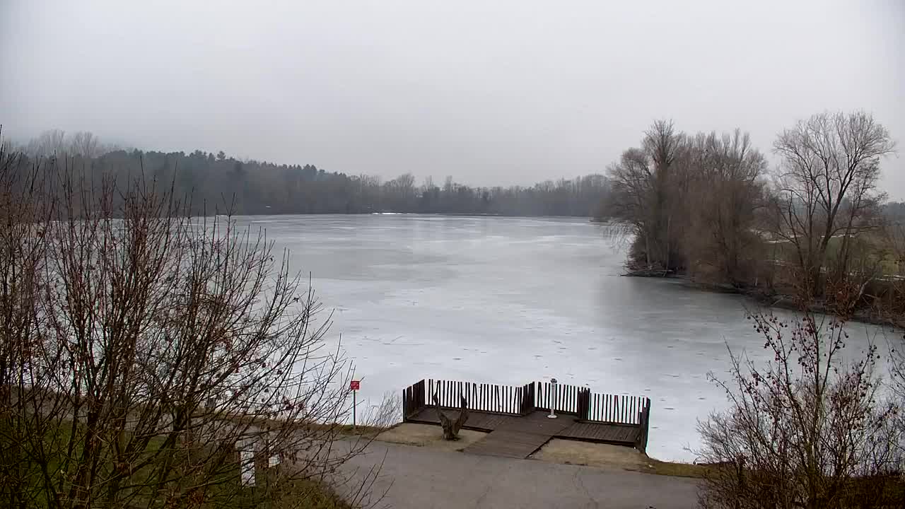 Web kamera Ribnik Vrbje – Žalec