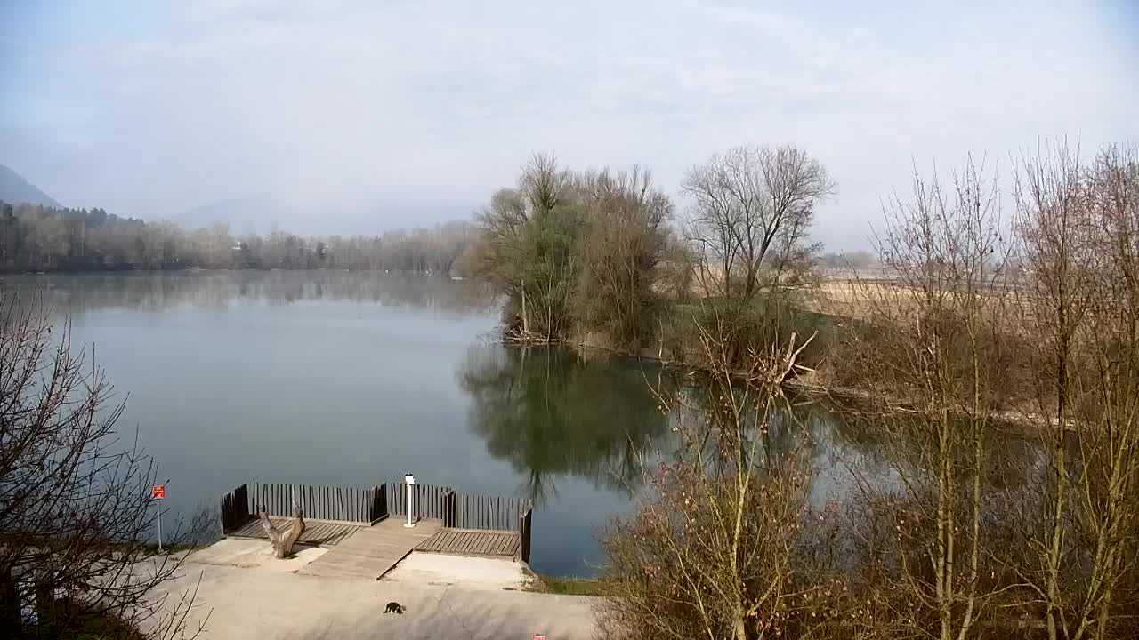 Webcam Ribnik Vrbje – Žalec