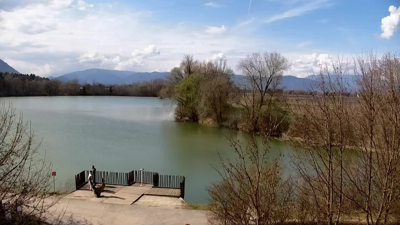 Webcam Ribnik Vrbje – Žalec