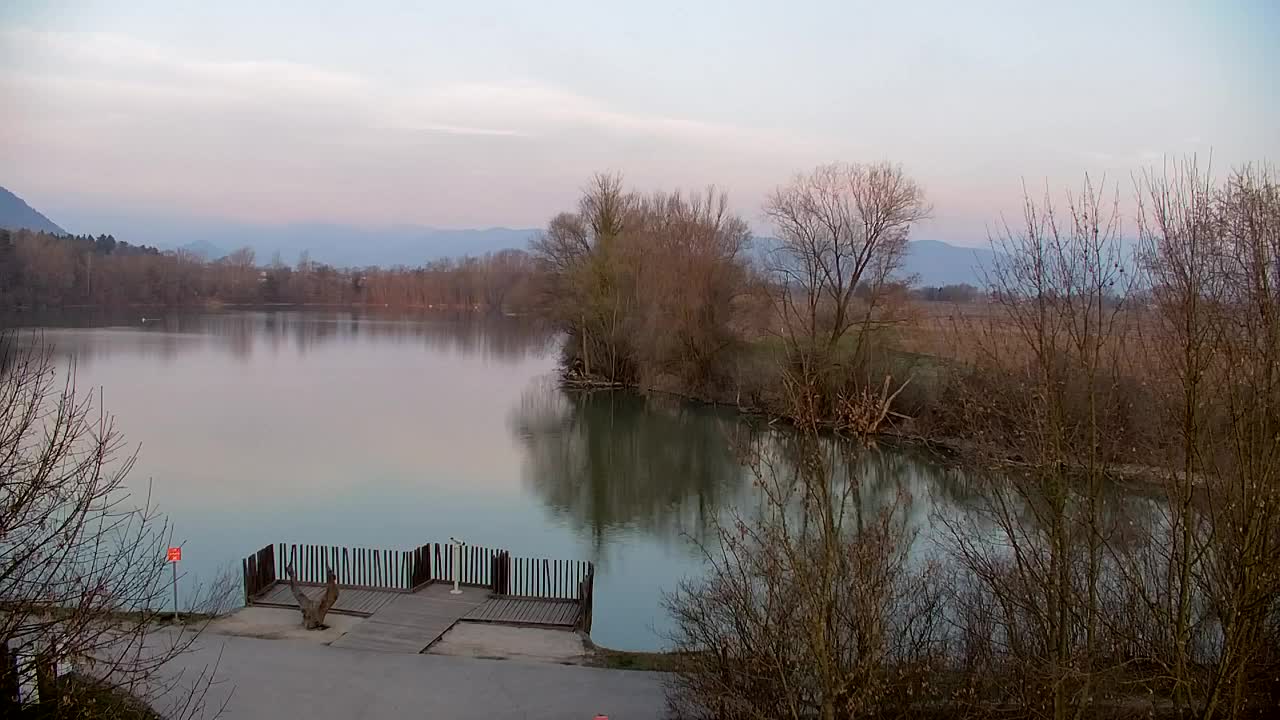 Web kamera Ribnik Vrbje – Žalec