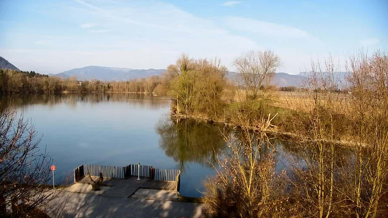 Webcam Ribnik Vrbje – Žalec