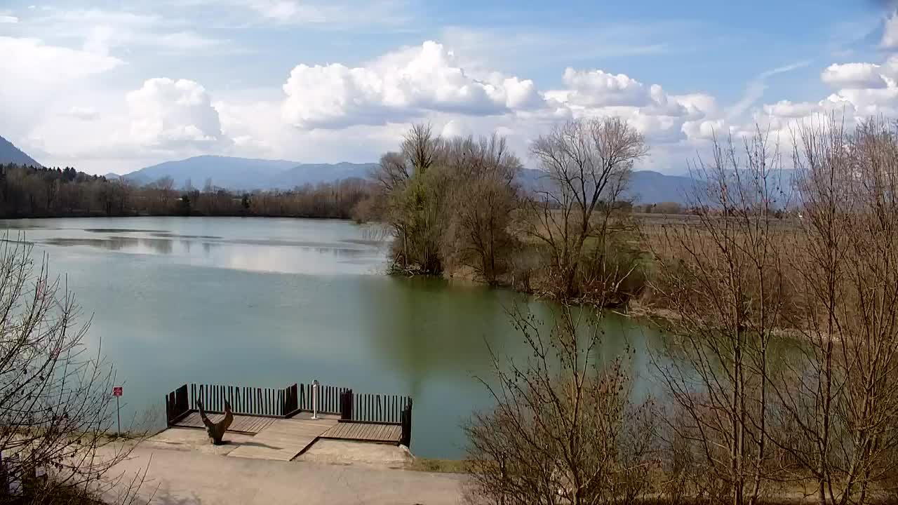 Webcam Ribnik Vrbje – Žalec