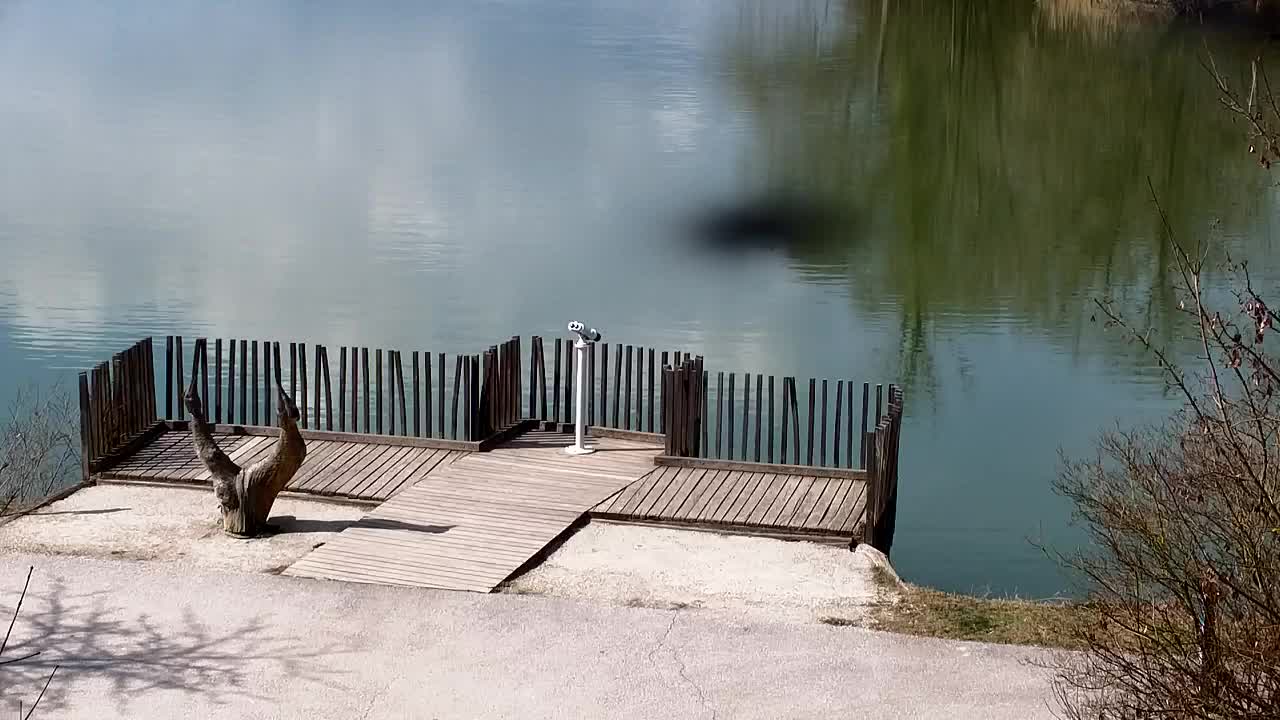 Webcam Ribnik Vrbje – Žalec