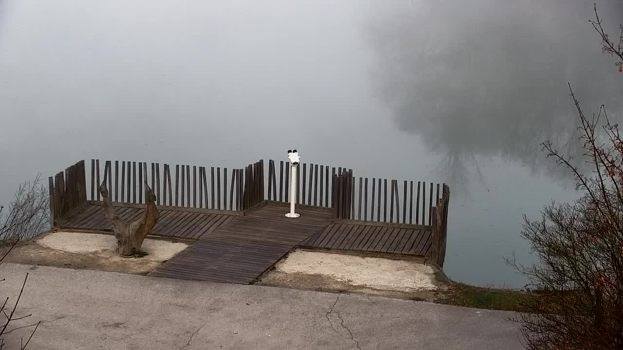 Web kamera Ribnik Vrbje – Žalec