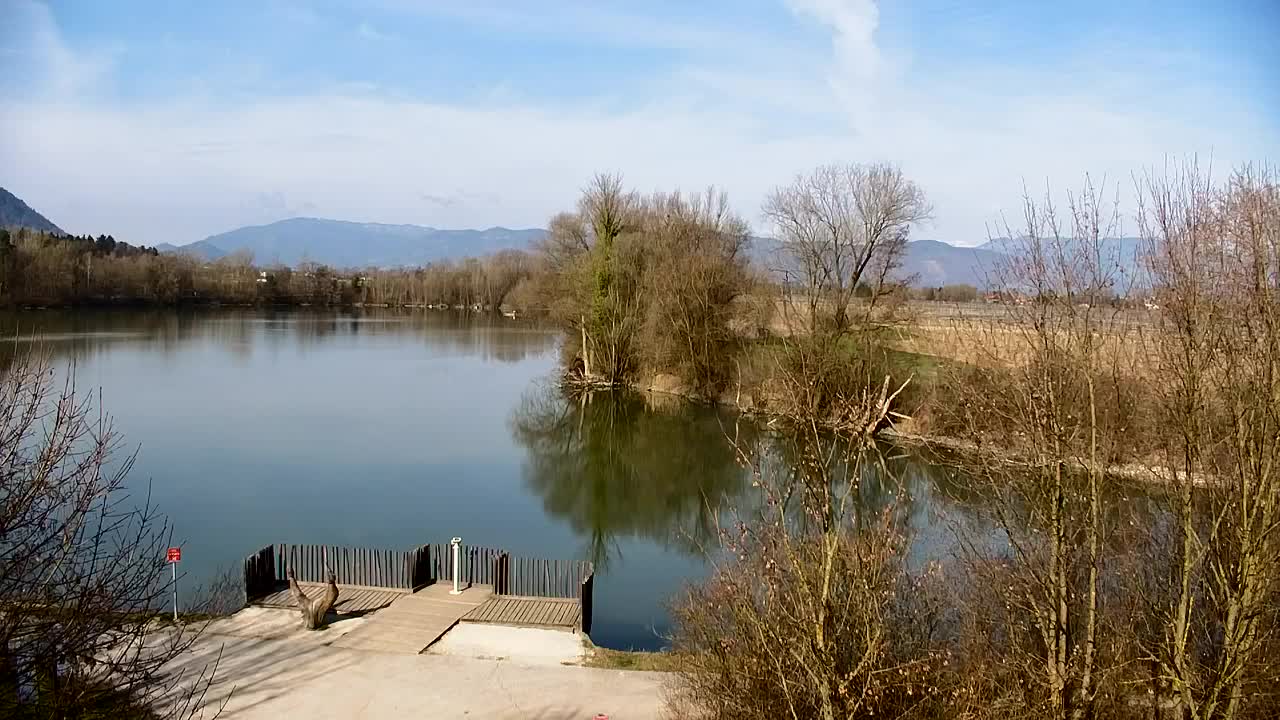 Webcam Ribnik Vrbje – Žalec