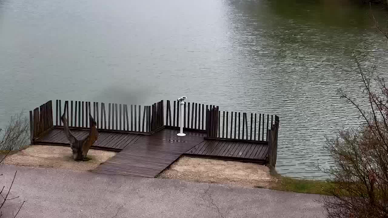 Webcam Ribnik Vrbje – Žalec