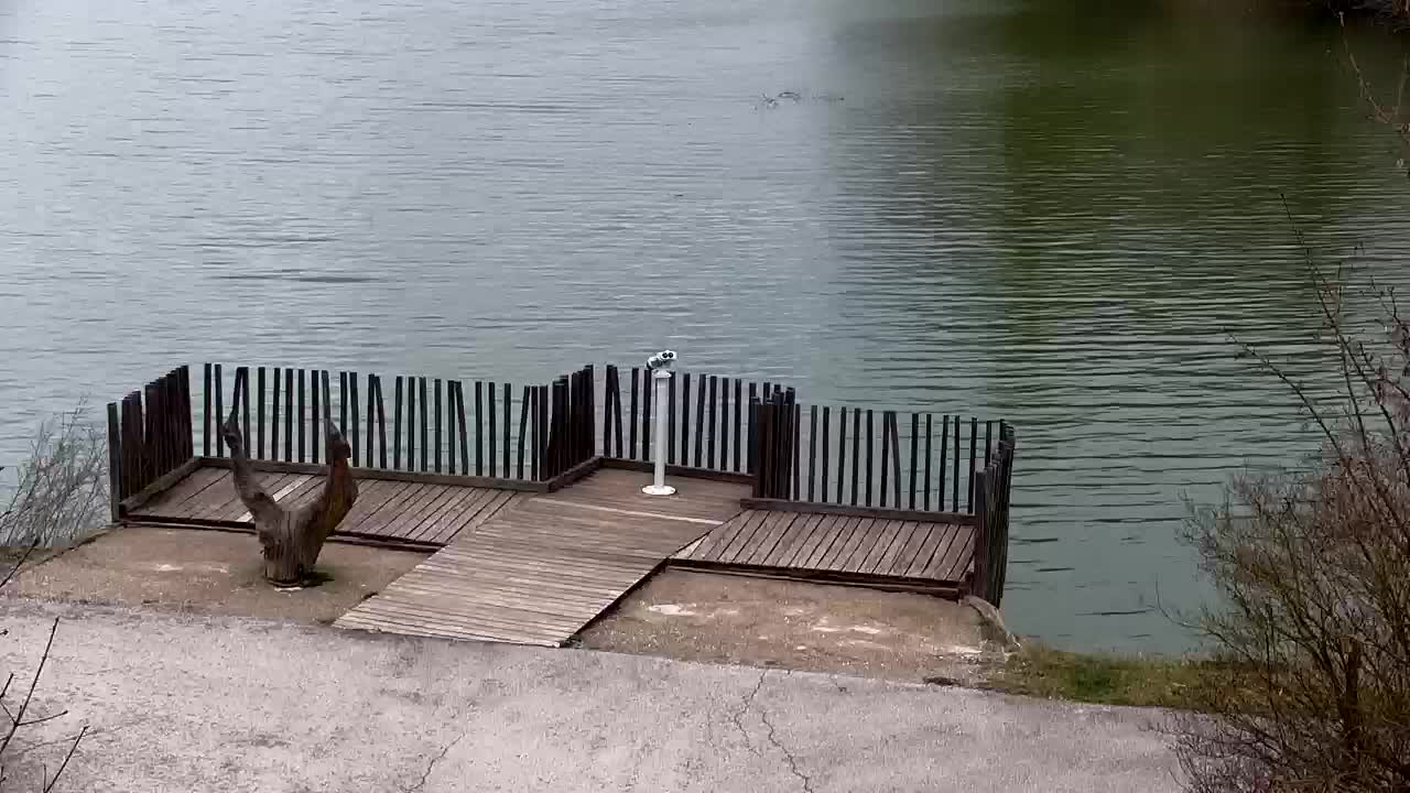 Webcam Ribnik Vrbje – Žalec