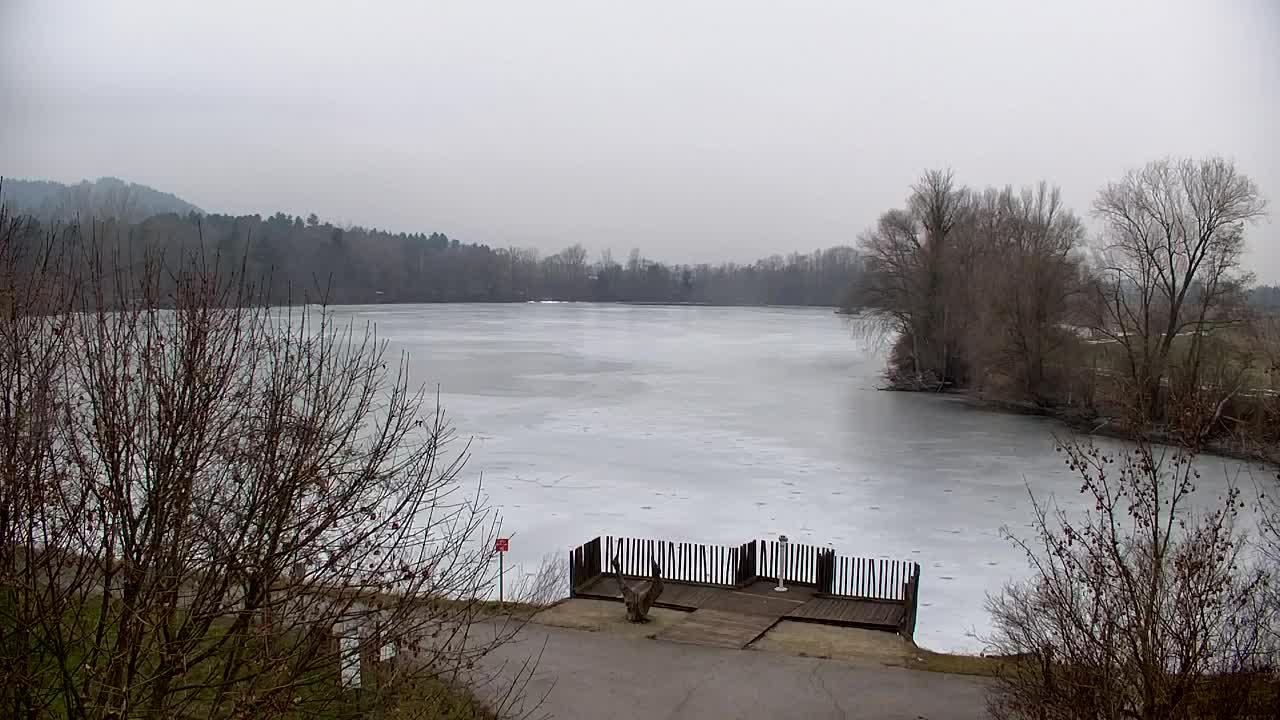 Webcam Ribnik Vrbje – Žalec