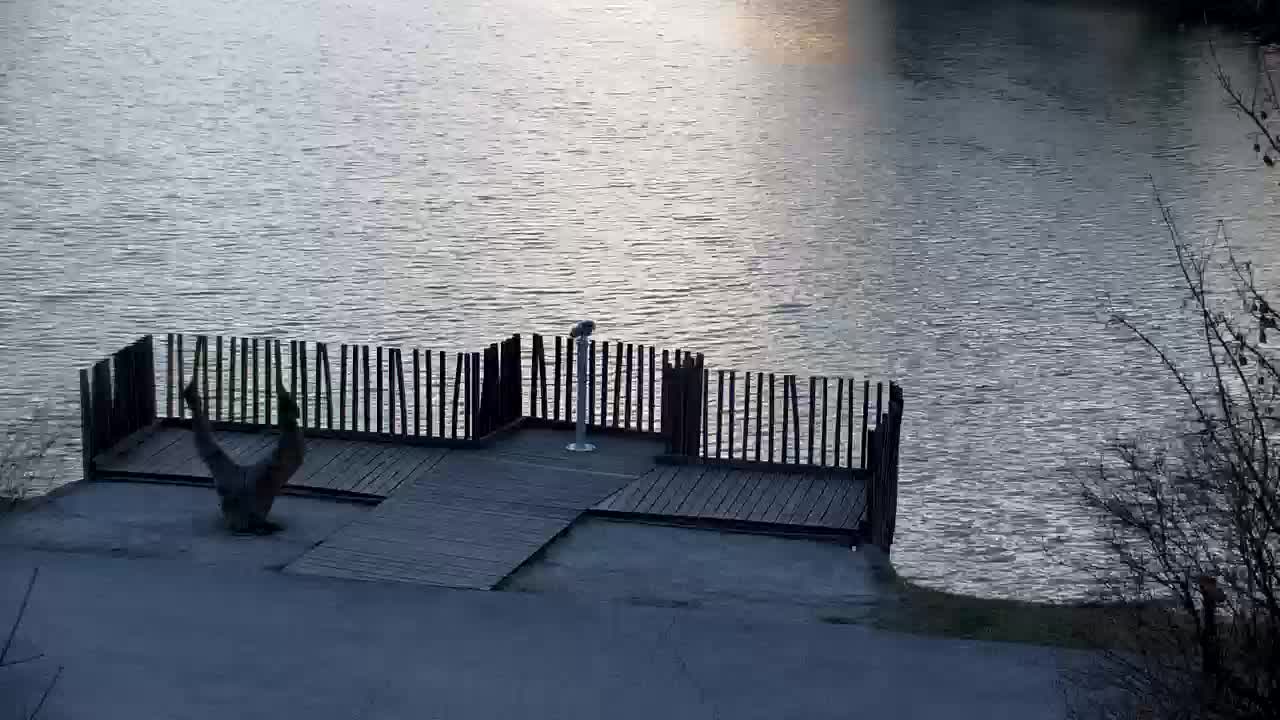 Webcam Ribnik Vrbje – Žalec