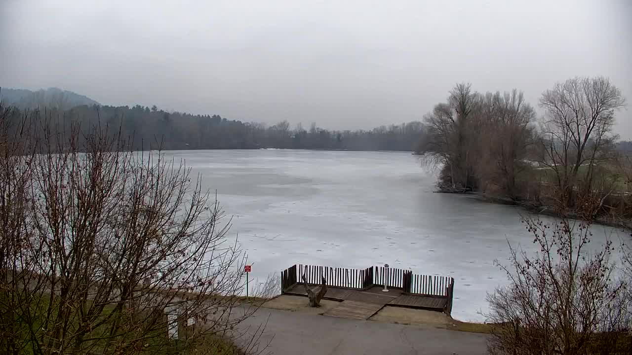 Web kamera Ribnik Vrbje – Žalec