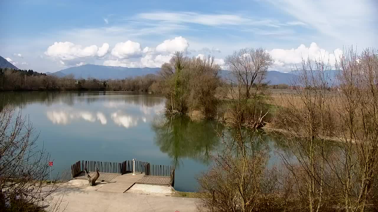 Webcam Ribnik Vrbje – Žalec