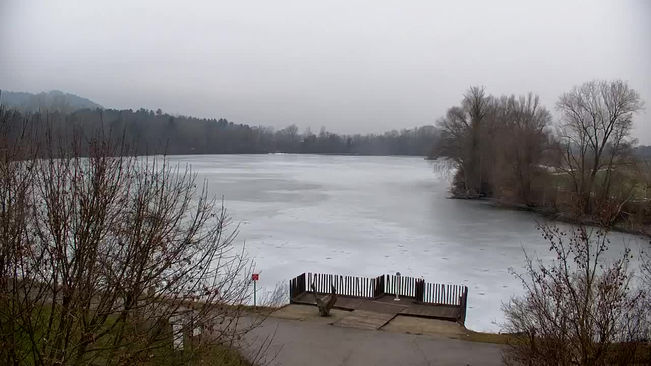 Webcam Ribnik Vrbje – Žalec