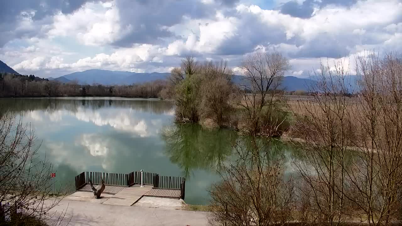 Webcam Ribnik Vrbje – Žalec