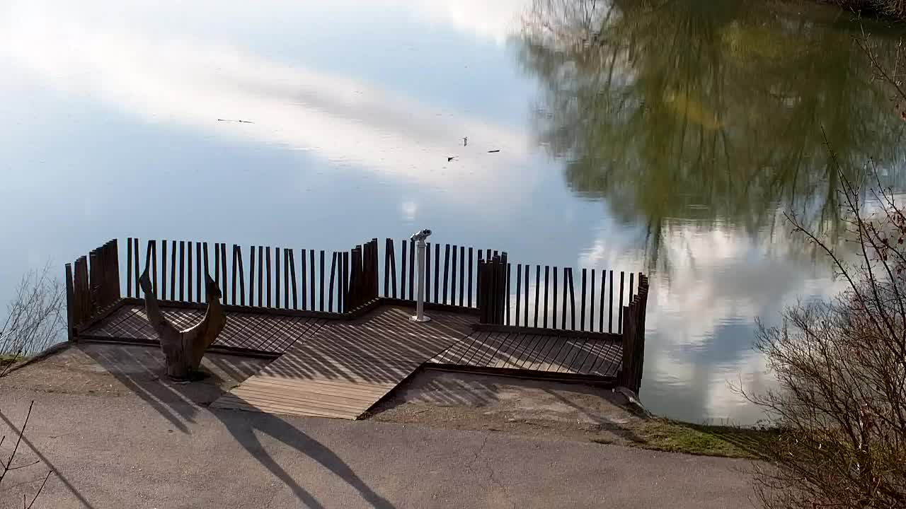 Webcam Ribnik Vrbje – Žalec