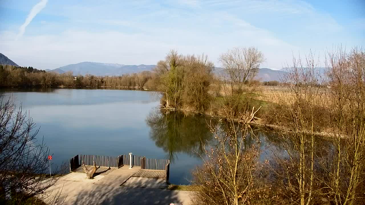 Webcam Ribnik Vrbje – Žalec