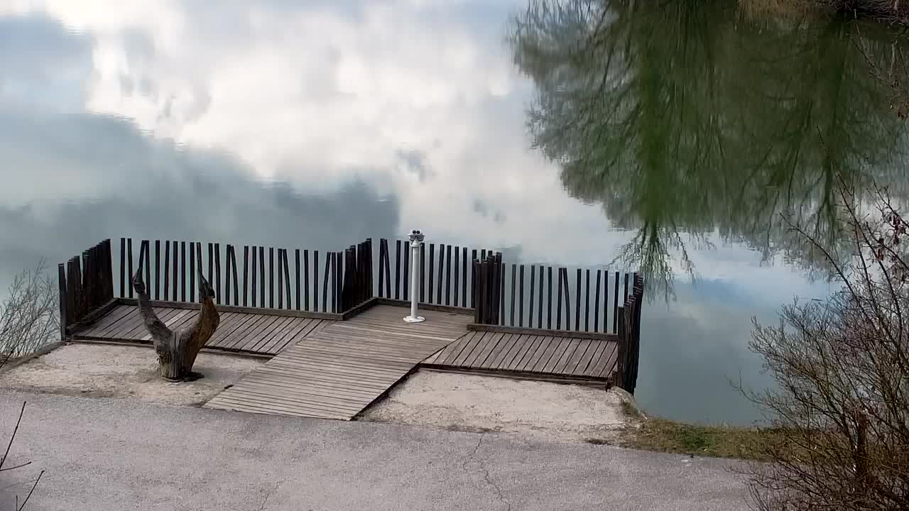 Webcam Ribnik Vrbje – Žalec