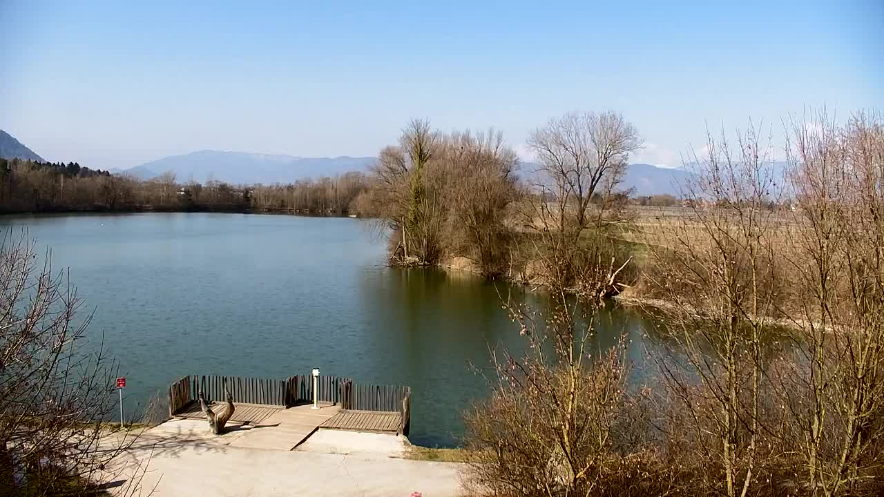 Webcam Ribnik Vrbje – Žalec