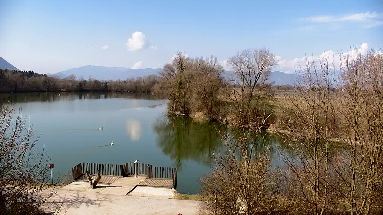 Webcam Ribnik Vrbje – Žalec