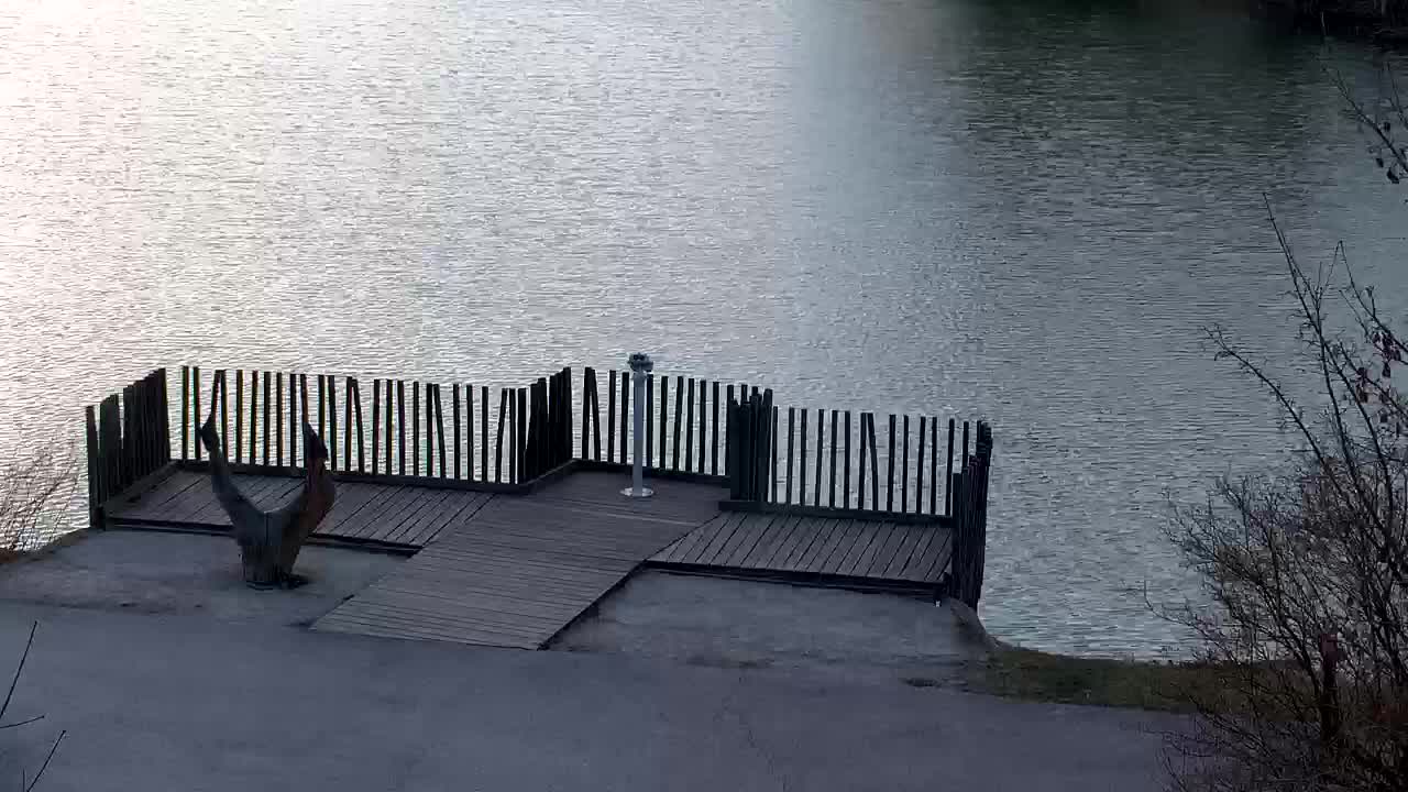 Webcam Ribnik Vrbje – Žalec