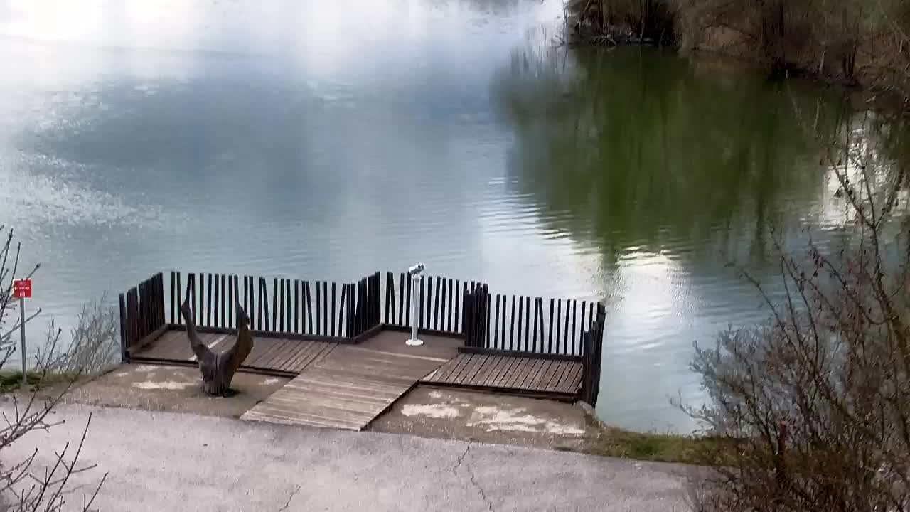 Webcam Ribnik Vrbje – Žalec