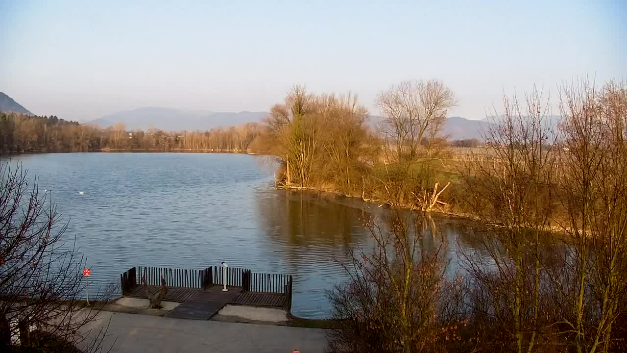 Webcam Ribnik Vrbje – Žalec